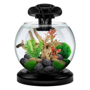 circle aquarium